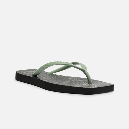 Chinelo de Dedo Jelly Arezzo Brizza Z190270116