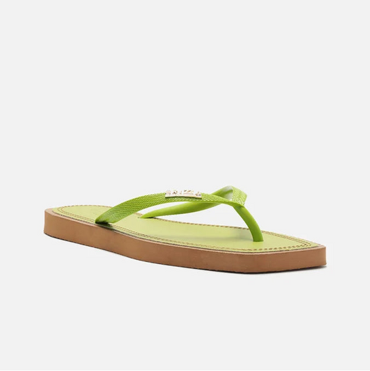 Chinelo de Dedo Arezzo Recouro Color Square Z190270202