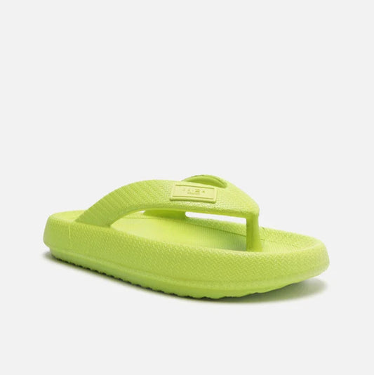 Chinelo de Dedo Arezzo Pillow Brizza Z190650001