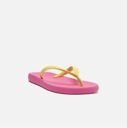 Chinelo de Dedo Arezzo Bicolor Ibiza Z191000002