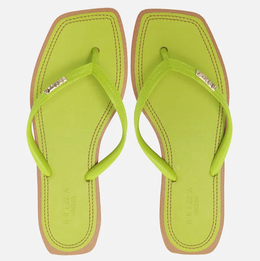 Chinelo de Dedo Arezzo Recouro Color Square Z190270202