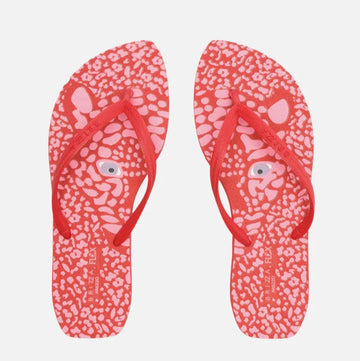 Chinelo de Dedo Arezzo Print Flash Flex Z190620016